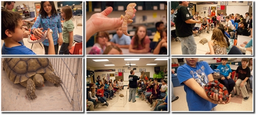 Reptile show images